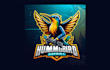 make amazing hummingbird mascot logo with creative concepts