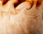shoot simple, detailed, colorful, and premium drinks photography