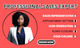 be your expert sales closer b2b lead generator and sales representative