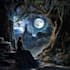 make fantasy photoshop editing and manipulation