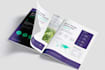 design a modern brochure for your business