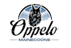 create exclusive and marvelous cat logo design