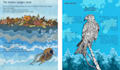 create educational infographic illustrations