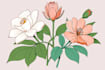 draw line art illustration botanical and flower beautifully