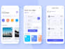 do custom flutter development with firebase, apis, android and ios