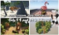 build minecraft build in 24 hours