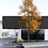 create stunning  and functional architectural designs