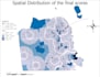 create gis maps and perform spatial analysis for any project