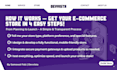 build a shopify, woocommerce, or ecommerce store that sells