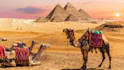 help you with anything at egypt