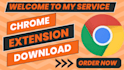 do chrome extension downloads google chrome, chrome extension review, install