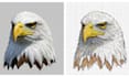 do embroidery digitizing live image into outline dst pes jef