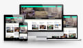 do wordpress website development, design, redesign or revamp website