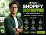 build an amazing shopify store, shopify dropshipping, shopify website design