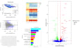 do advanced ngs analysis and bioinformatics consultancy