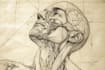 design scientific illustrations and medical figures