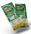 design a professional flyer for your business or services