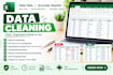 excel data entry, data cleaning and data management