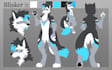 create a furry fursona reference sheet