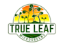 create wonderful and excellent microgreen logo  design