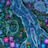 design, and create detailed maps for game related purposes