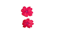 do image background removal and object removal