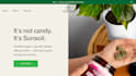 do custom software development saas web application as software developer