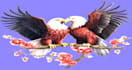 professional photo editing, retouching and enhancement