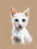 pet digital painting art