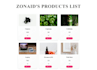 develop a responsive frontend with HTML, CSS, javascript, and tailwind
