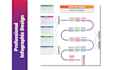 do unique business infographic design, roadmap, timeline, flow chart, diagram