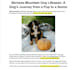 write SEO blog posts and articles as your content writer