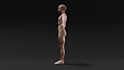 model 3d robotic character,3d head,rigging, humanoid, anime animation, sculpting
