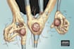 create medical and scientific illustrations