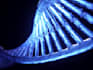 do a well crafted 3d animated rendition of your scientific or medical concept