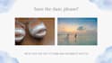 design an animated wedding invitation video