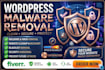 do conduct wordpress website malware removal, and recovery