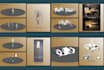 create professional sketchup 3d models from drawings or photos