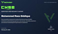 perform professional web application penetration testing