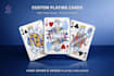 design a premium fully hand drawn playing card deck