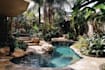 create landscape, backyard, pool, garden and site plan