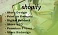 setup profitable shopify website or shopify store design