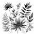 create a botanical black and white pen sketch