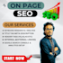 do wordpress yoast on page SEO optimization