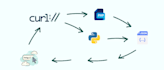 make web automation, scraping, telegram bots in python