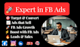 expert facebook ads setup and management