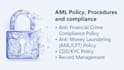 write aml kyc policies for virtual asset service providers