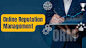 provide expert online reputation management ORM services