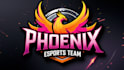 create professional falcon phoenix logo