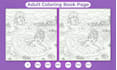draw hidden object and spot the difference picture for your amazon KDP